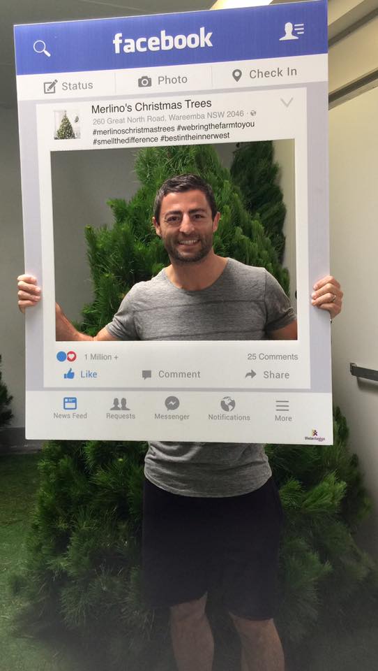 Real Christmas Trees in Sydney Merlino's Christmas Trees