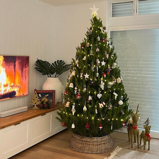 Big Christmas Tree Waitlist - 2025 (Closed)