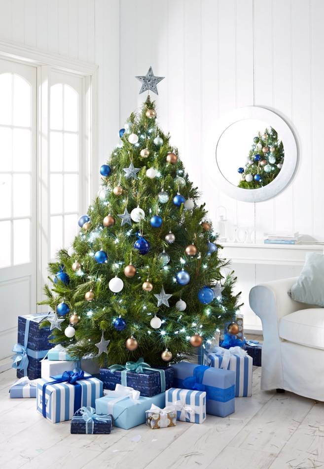 Pre-order: 7ft Real Cut Christmas Tree (~213cm)