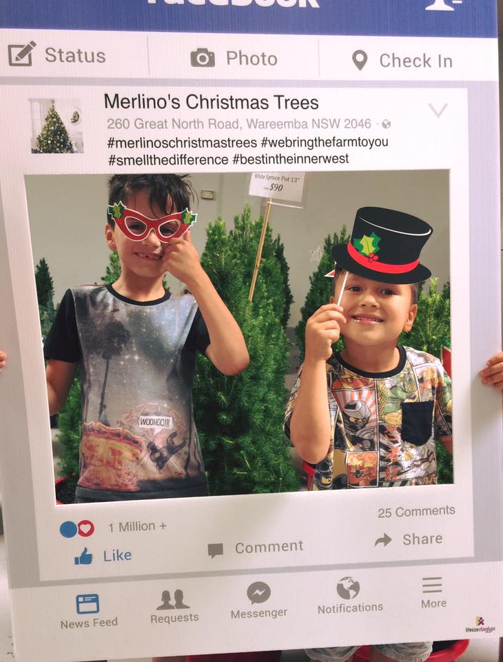 Real Christmas Trees in Sydney Merlino's Christmas Trees