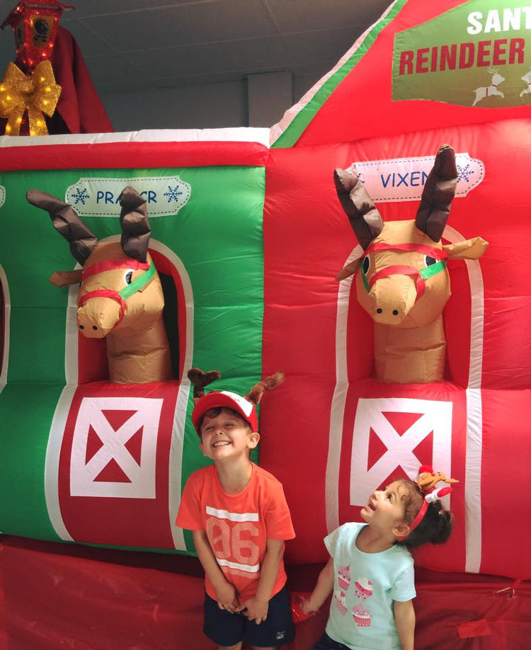 Real Christmas Trees in Sydney Merlino's Christmas Trees