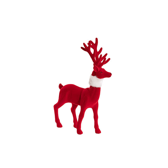 Red Reindeer